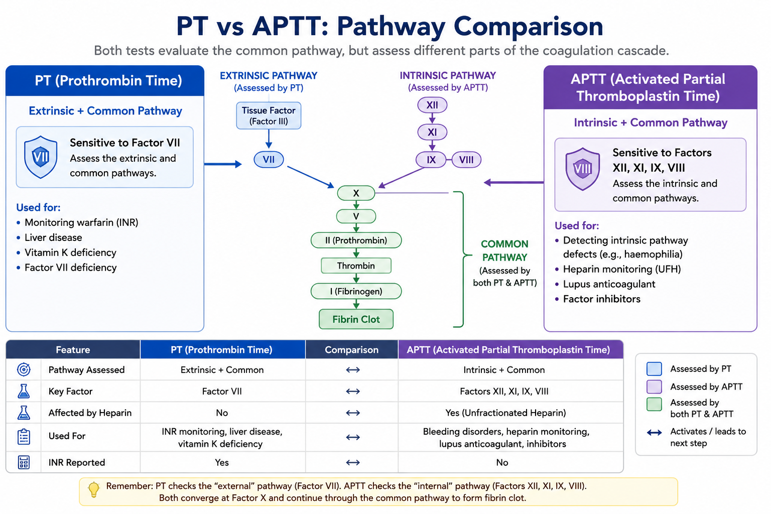 Infographic of common causes of prolonged APTT including factor deficiencies, anticoagulants, inhibitors, liver disease and DIC