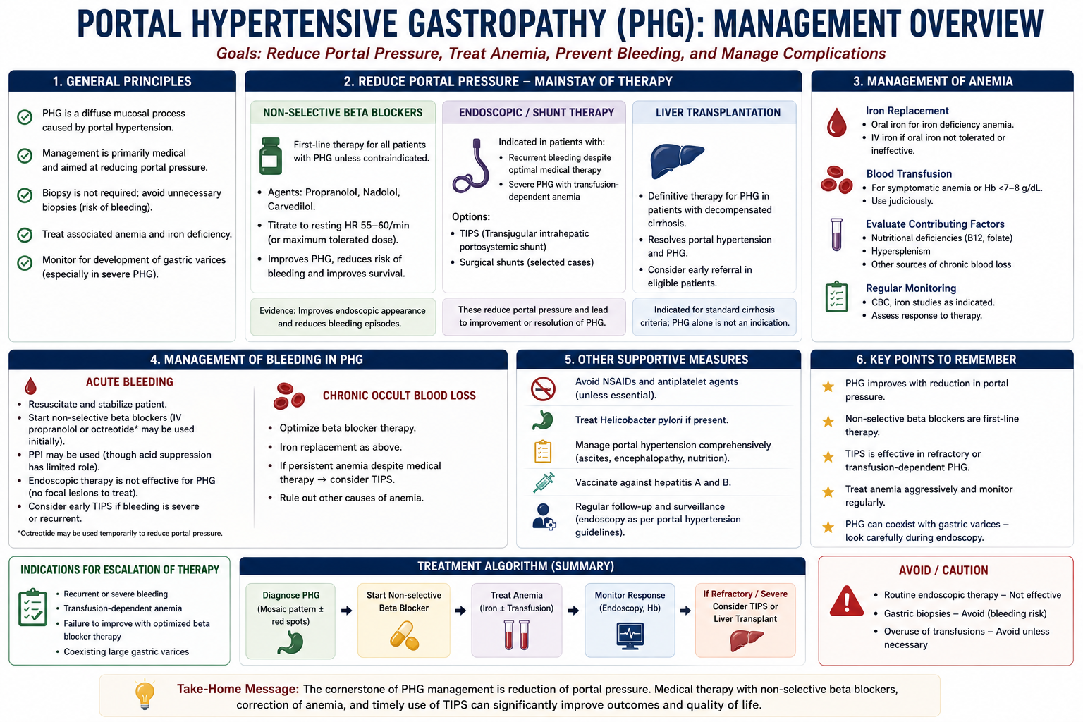 Management overview diagram for portal hypertensive gastropathy showing stepwise approach with iron replacement for anaemia non-selective beta blockers as first-line treatment and TIPS for refractory cases