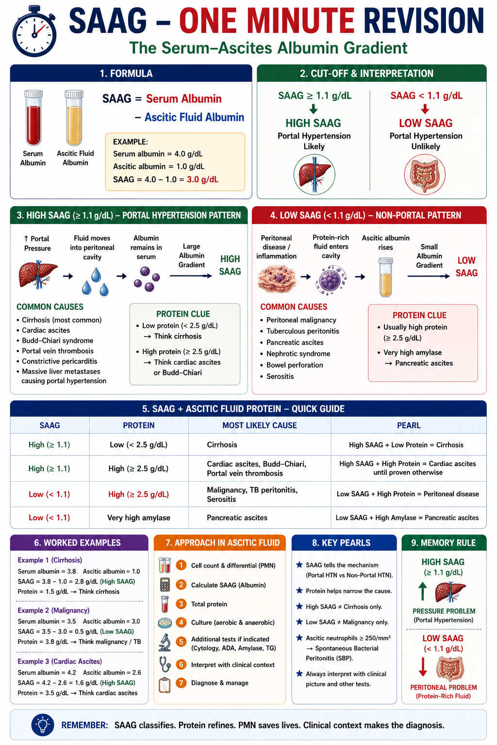 One-minute revision summary of SAAG showing formula cutoff high SAAG causes low SAAG causes and SAAG plus protein interpretation