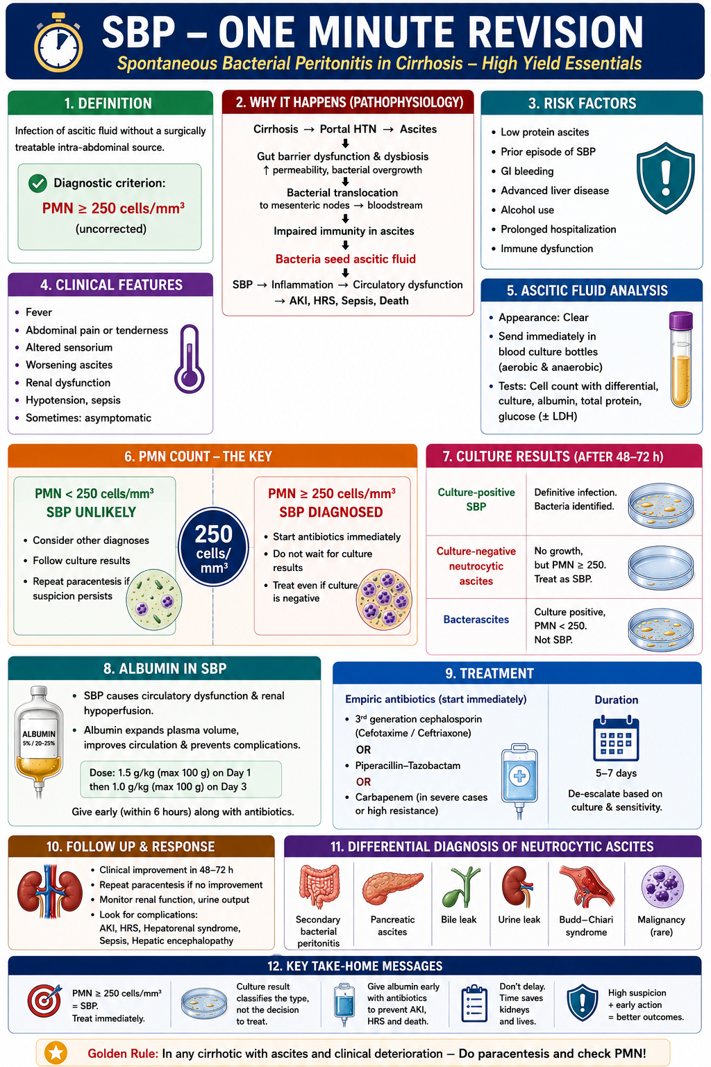 One-minute revision summary of SBP showing definition bacterial translocation PMN cutoff treatment albumin and major complications
