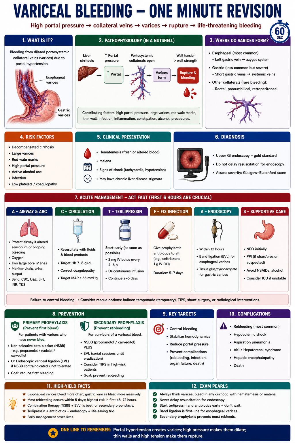 One-minute revision summary of variceal bleeding showing portal hypertension collateral formation variceal rupture emergency management and prophylaxis